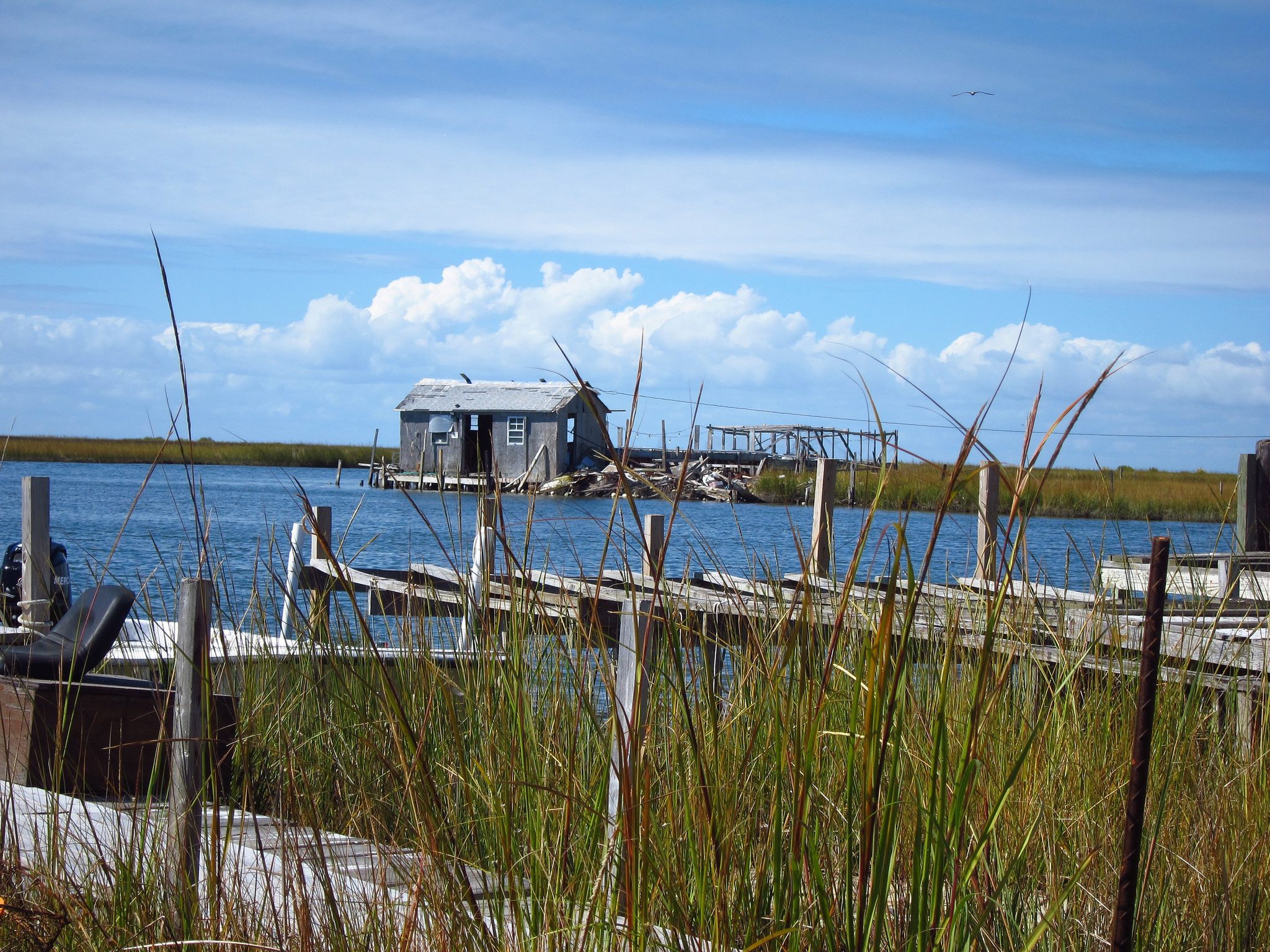 A dock with a house in the background