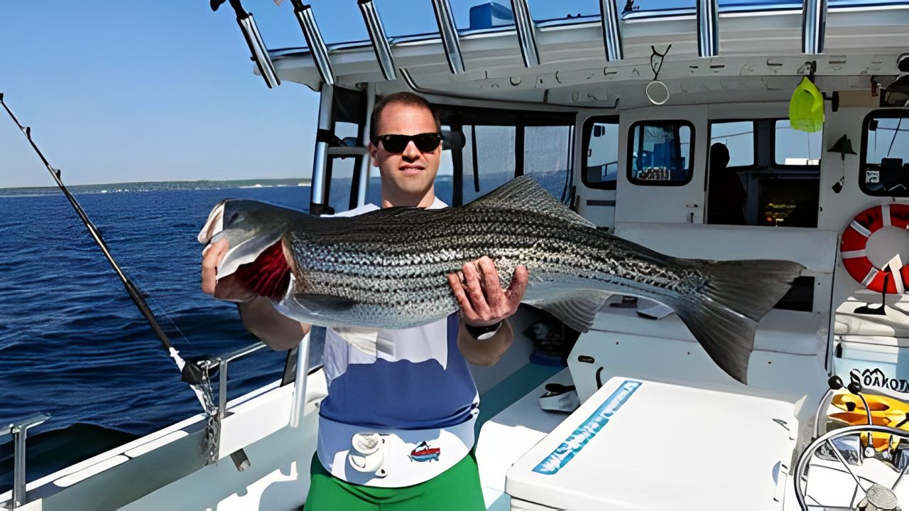 2015hphoto01436x246 A man holding a striped fish on top of a boat.