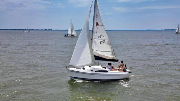 A couple of sailboats are in the water